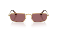 Ray-Ban Asap rocky RB3927 001/AF 54-21 Guld