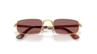 Ray-Ban Asap rocky RB3927 001/AF 54-21 Guld
