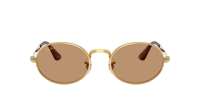 Ray-Ban Asap rocky RB3931 001/53 54-21 Gold 