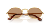 Ray-Ban Asap rocky RB3931 001/53 54-21 Gold 