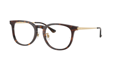 Ray-Ban RX5453D RB5453D 2012 52-20 Havana
