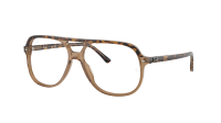 Ray-Ban RX5698 8109 56-14 Havana on transparent Brown