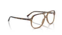 Ray-Ban RX5698 RB5698 8109 56-14 Havana on transparent Brown