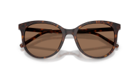 Dolce & Gabbana DG4540 502/13 55-18 Havana