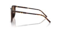 Dolce & Gabbana DG4540 502/13 55-18 Havana
