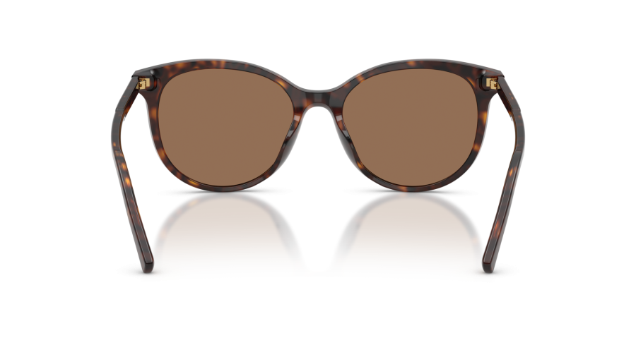 Sunglasses Dolce & Gabbana DG4540 502/13 55-18 Havana | Visiofactory