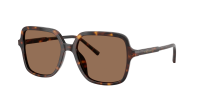 Dolce & Gabbana DG4539 502/73 55-17 Havana