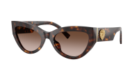 Dolce & Gabbana DG4536 502/13 55-20 Havana