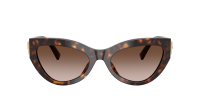 Dolce & Gabbana DG4536 502/13 55-20 Havana