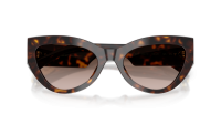 Dolce & Gabbana DG4536 502/13 55-20 Havana