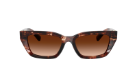 Dolce & Gabbana DG4532 322274 53-18 Dark red Havana