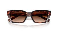 Dolce & Gabbana DG4532 322274 53-18 Dark red Havana