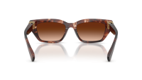 Dolce & Gabbana DG4532 322274 53-18 Dark red Havana