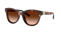Dolce & Gabbana DG4533 322274 54-20 Dark red Havana