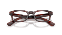 Oliver peoples Tiello OV5617U 1818 49-20 Morado tortoise