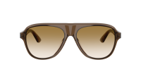 Oliver peoples Paul newman OV5581U 1625 54-16 Espresso