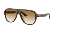 Oliver peoples Paul newman OV5581U 1625 54-16 Espresso
