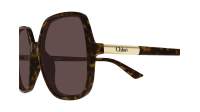 Chloé Judy CH0362S 002 55-16 Écaille