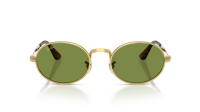 Ray-Ban Asap Rocky RB3931 001/4E 54-21 Gold 