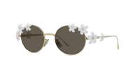 Loewe Signature LW40173U 30E 51-20 Oro