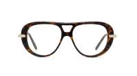 Loewe Slim LW50112I 052 51-14 Havana