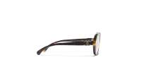 CHANEL CH3496 1818 54-17 Écaille