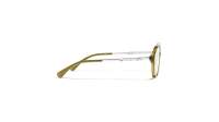CHANEL CH3504 1742 56-15 Crystal olive