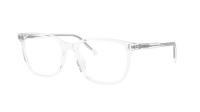 Dolce & Gabbana DG3445 3133 55-17 Cristal
