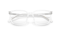 Dolce & Gabbana DG3445 3133 55-17 Cristal
