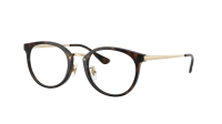 Ray-Ban RX7266D 8472 49-20 Havana