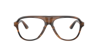 Oliver peoples Paul newman OV5581U 1724 54-16 Tuscan Tortoise