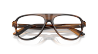 Oliver peoples Paul newman OV5581U 1724 54-16 Tuscan Tortoise