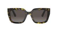 DIOR 30MONTAIGNE S8U 20F1 54-19 Escama