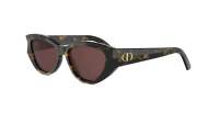 DIOR DIORGLOW B1I 20D0 53-16 Schildpad