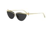 DIOR DIORTRIBALES B2U B0A0 61-11 Or