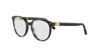 DIOR PETIT CDO R1I 2000 52-18 Schildpad