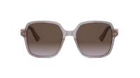 DIOR DIORTREASURE S1I 84F2 54-18 Szary