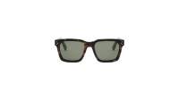 CELINE 3 dots CL40248I 52N 54-19 Écaille