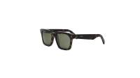 CELINE 3 dots CL40248I 52N 54-19 Écaille