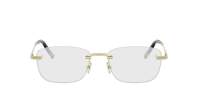 DIOR DIORBLACKSUITO S27U B000 56-17 Gold