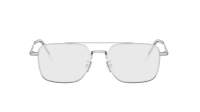 DIOR DIORBOTANICAO N1U F000 54-17 Argento