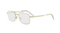 DIOR DIORBOTANICAO N1U B000 54-17 Goud