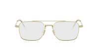 DIOR DIORBOTANICAO N1U B000 54-17 Goud