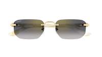 Cartier Décor c CT0622S 004 53-19 Gold 