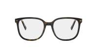 DIOR PETIT CDO S2I 2000 54-18 Schildpad