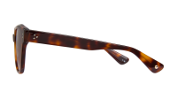 Garrett Leight Palmera 2191 WGLENT/SFBRNTG 53-20 Woodglen Tortoise