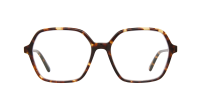 Garrett Leight Mariposa 1189 AGT 54-18 Agave Tortoise