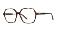 Garrett Leight Mariposa 1189 AGT 54-18 Agave Tortoise