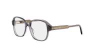 DIOR DIORPRISMEO S6I 4500 54-17 Grau