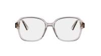 DIOR DIORPRISMEO S6I 7800 54-47 Bruin